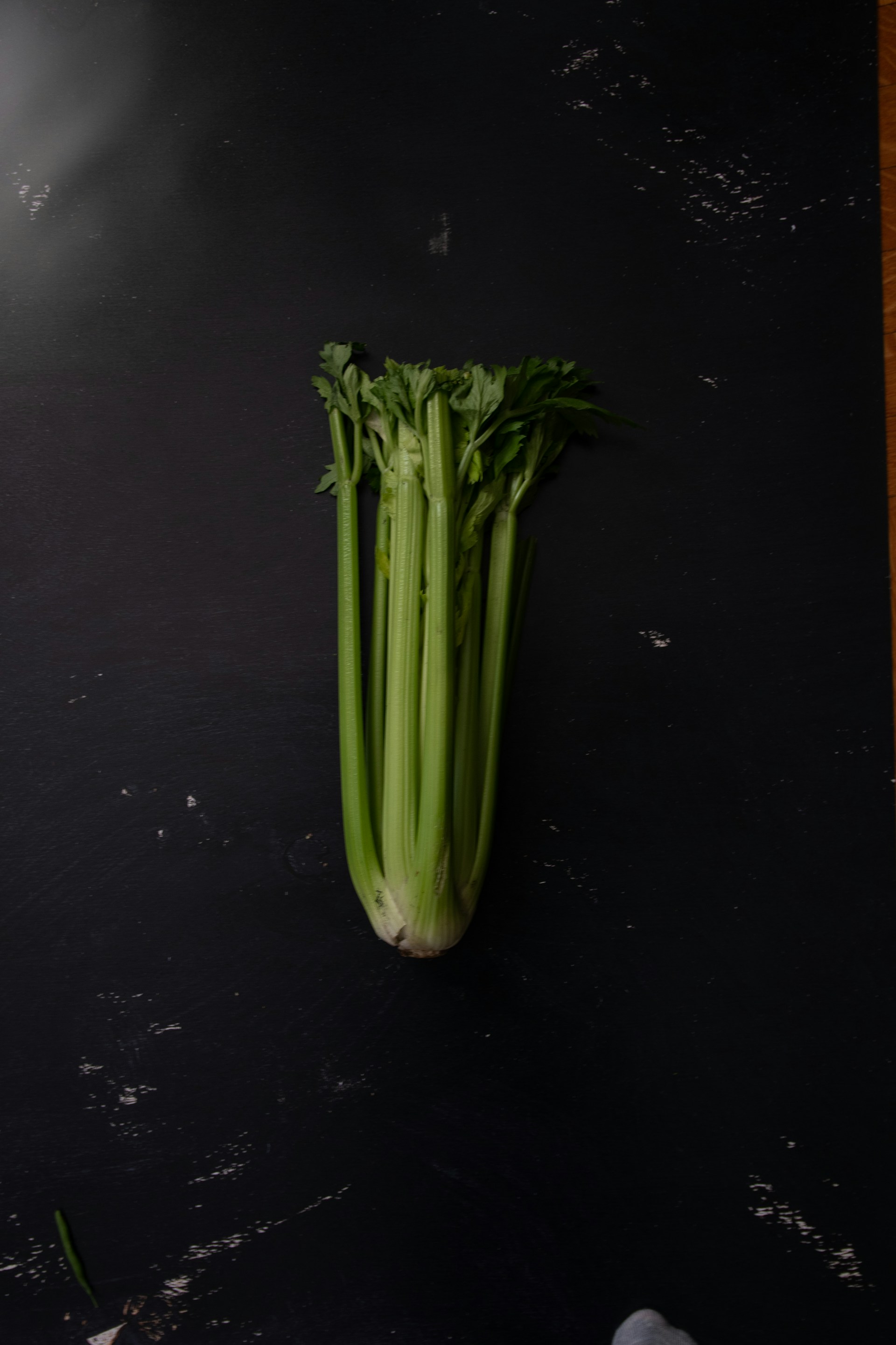 green celery stalks on black background