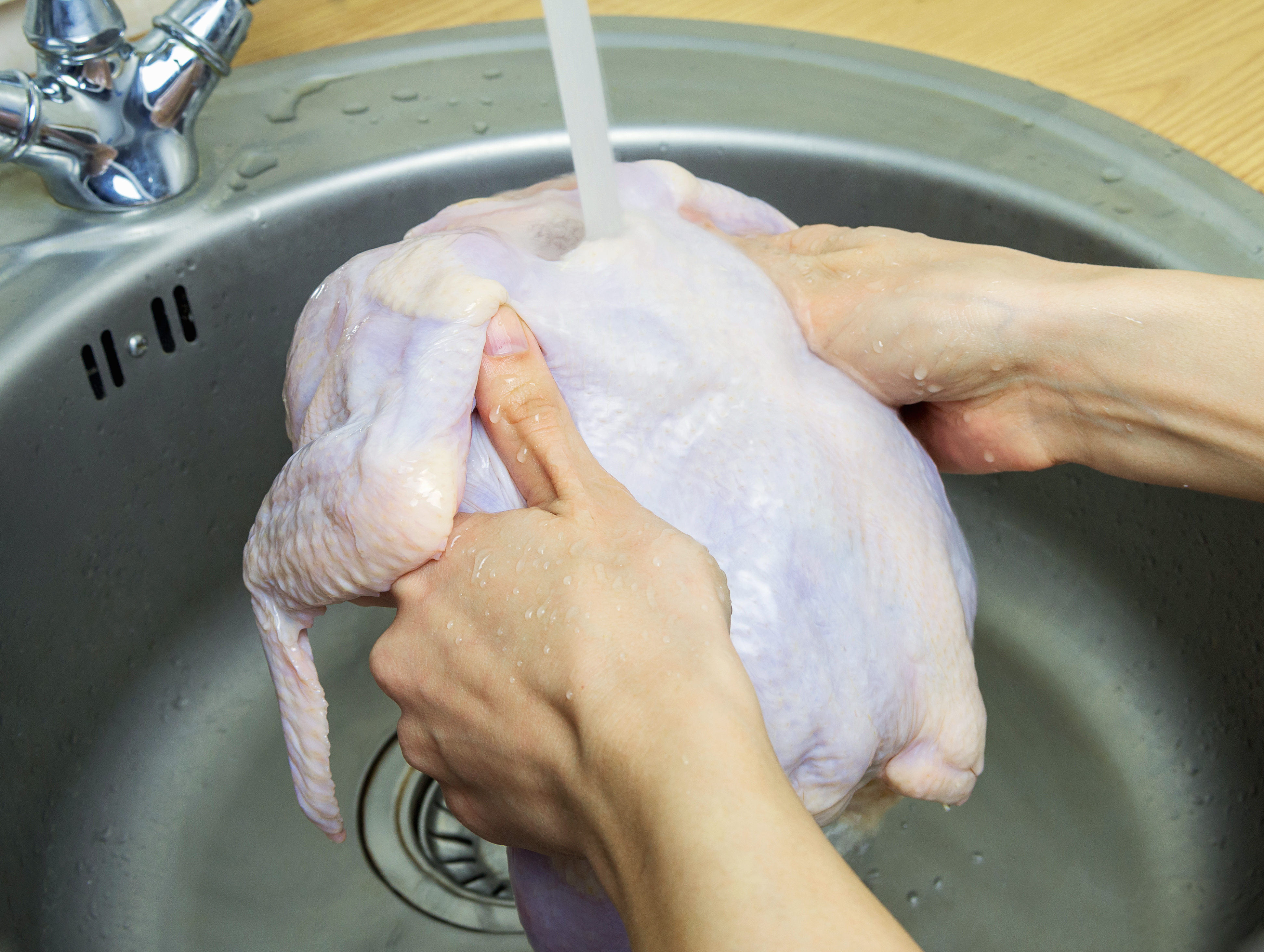 Person washing raw chicken in sink