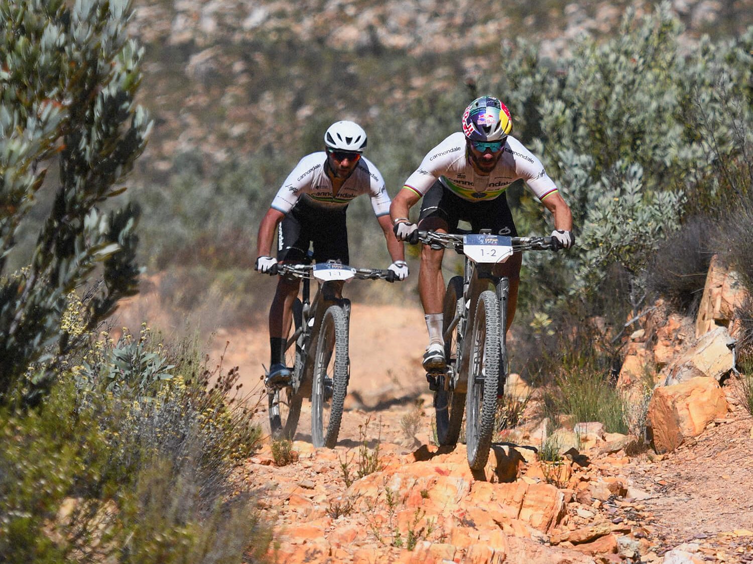 Two men on Cannondale mountain bikes.