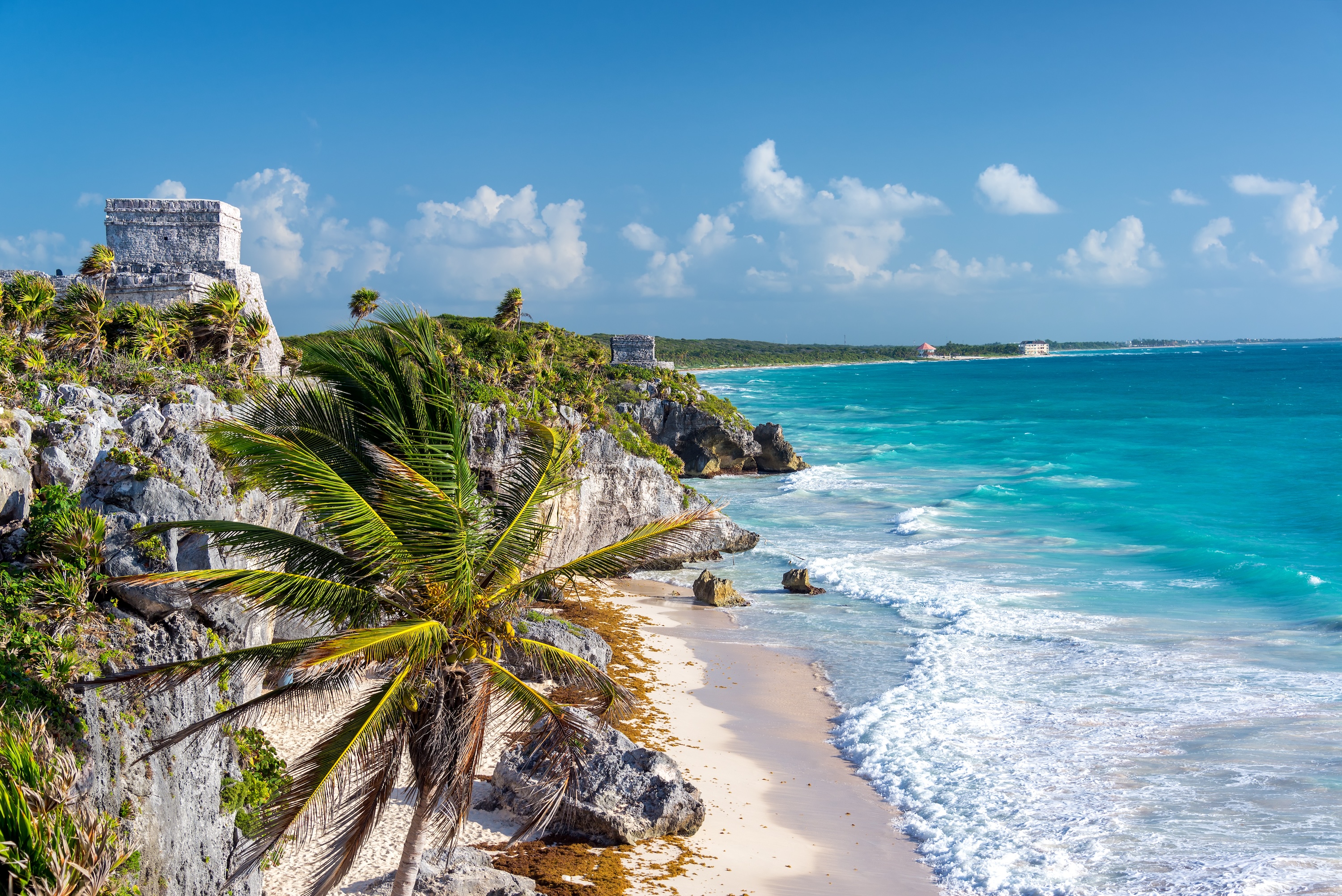 Ruins of Tulum, Mexico and a palm tree overlooking the Caribbean Sea in the Riviera Maya