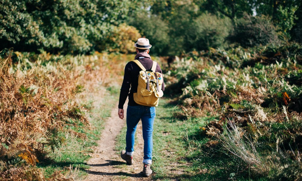 Man walking in nature with backpack