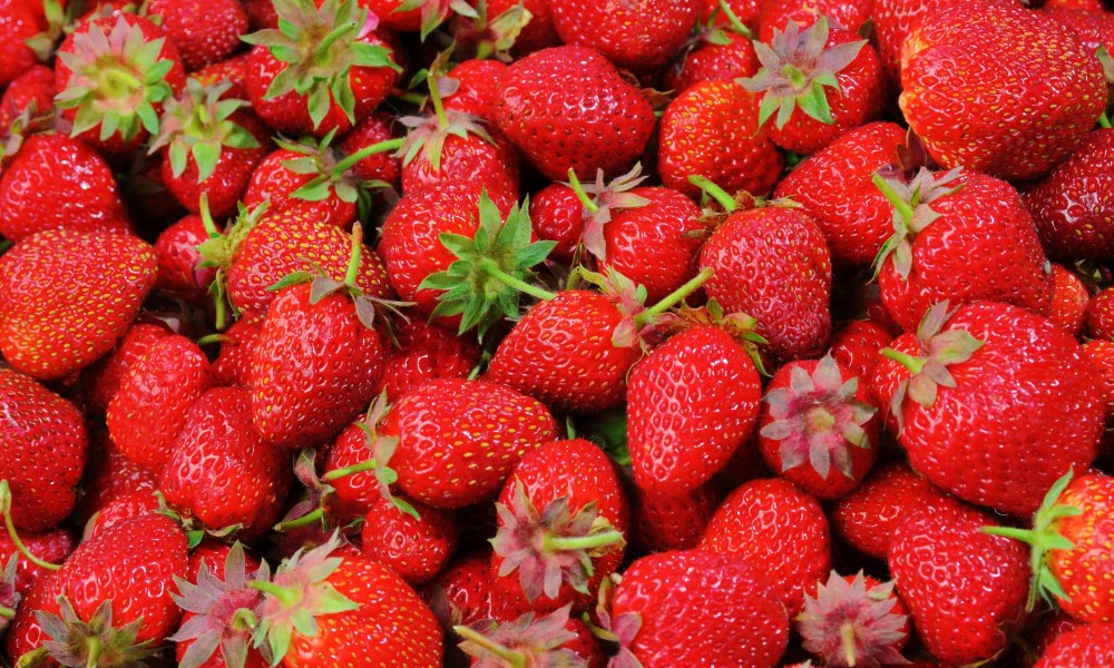 Small strawberries in container