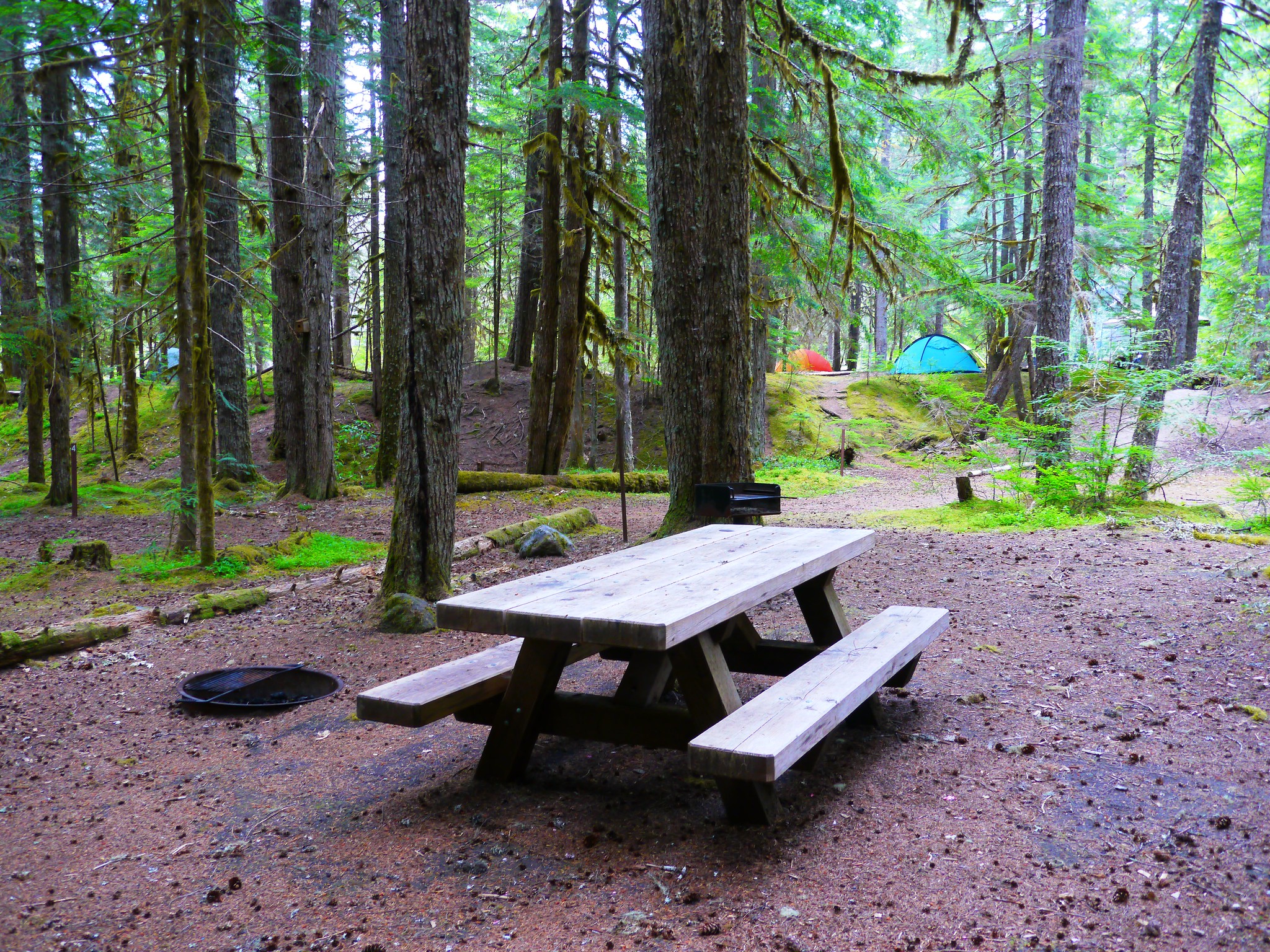 An empty campsite with a picnic table and firepit