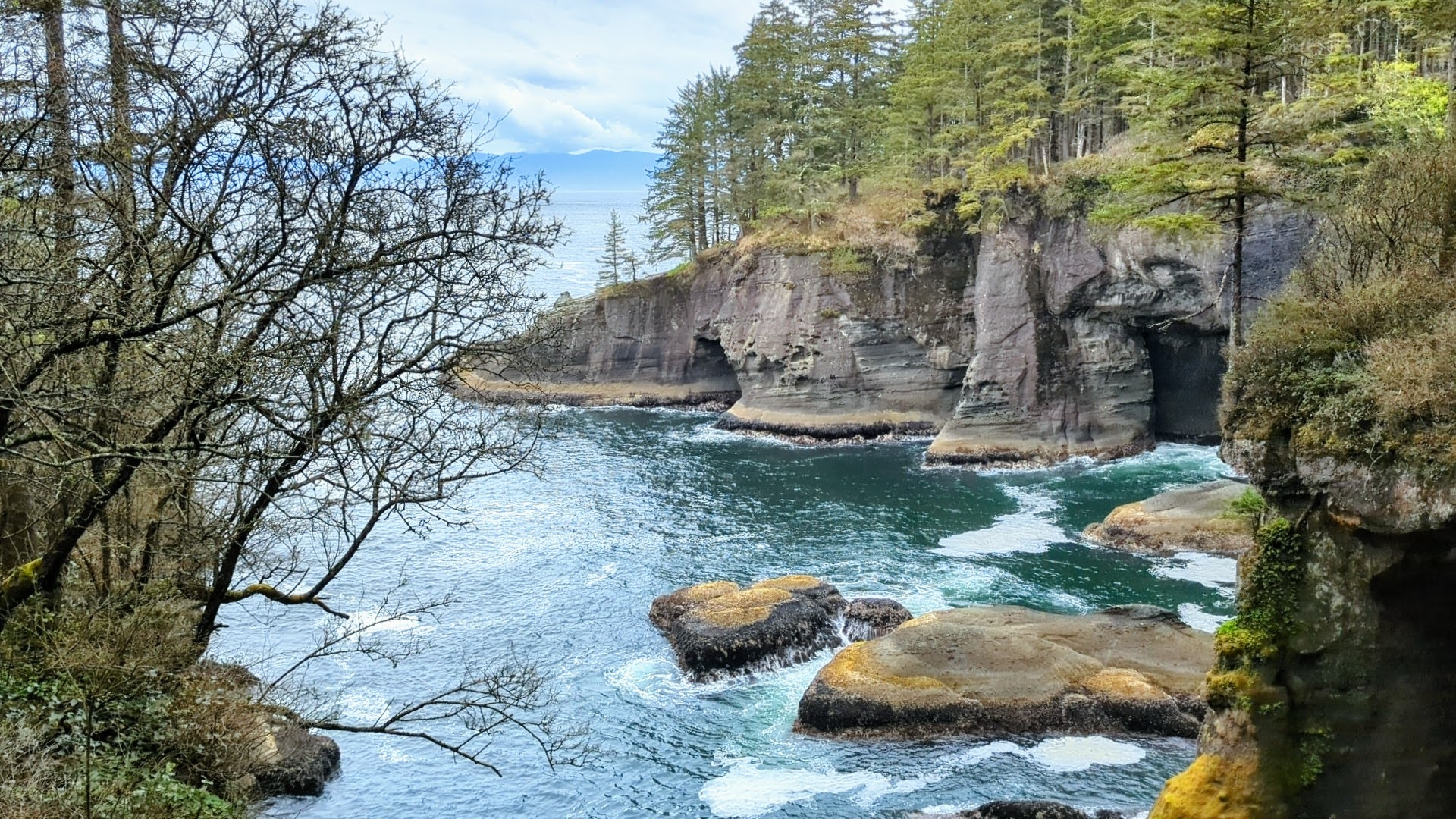 Image of the cape flattery reef at the end of the trail off a cliff