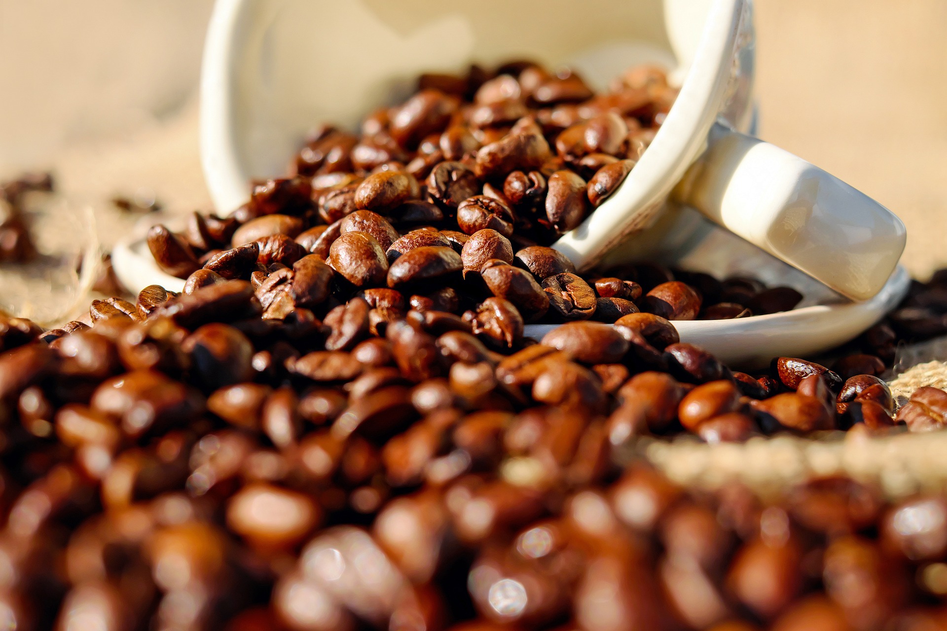 Coffee beans close-up