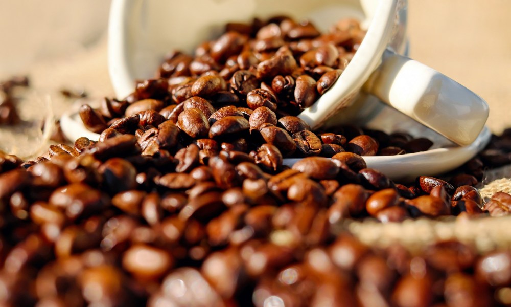 Coffee beans close-up