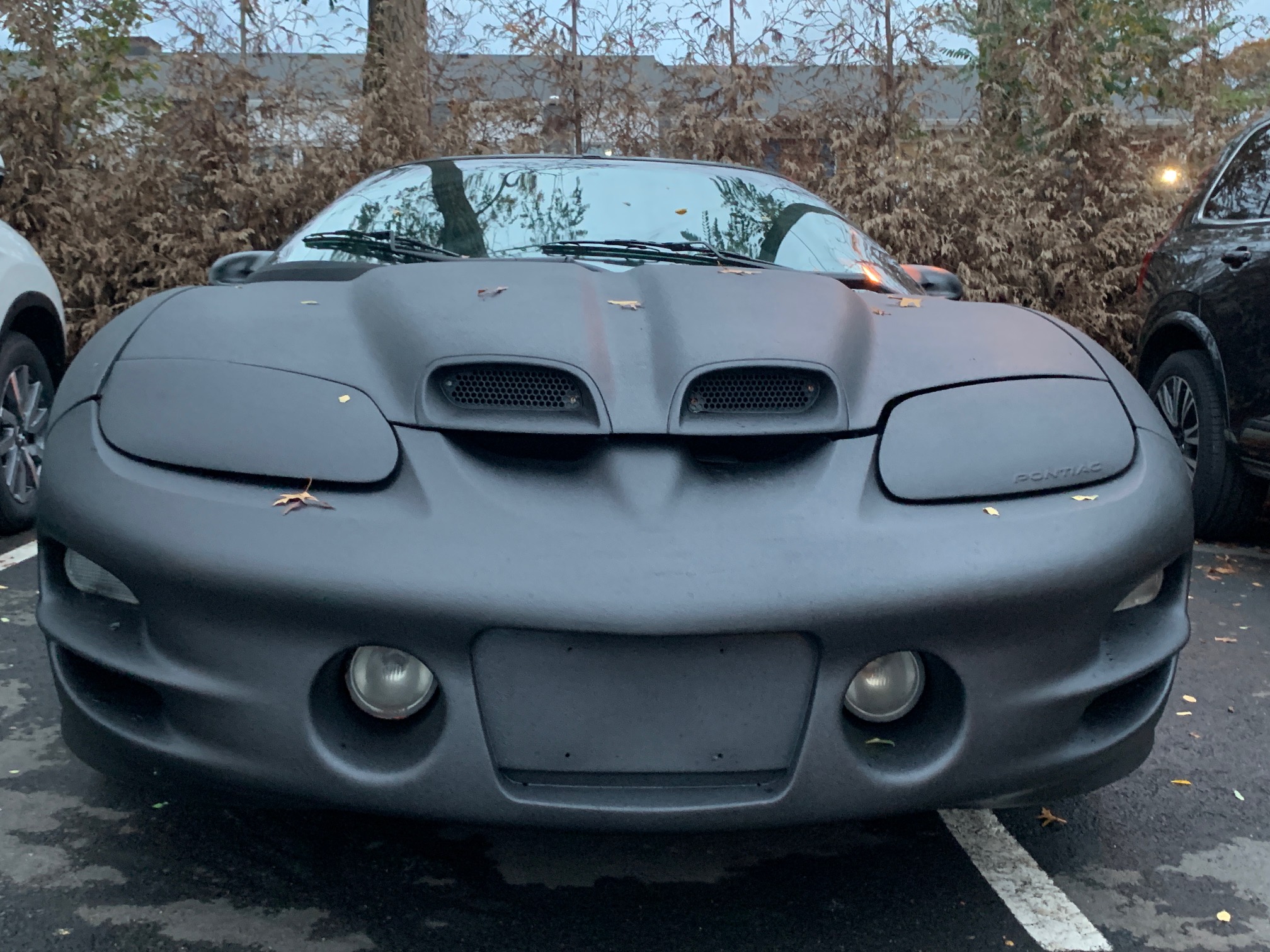 Pontiac Trans Am WS6