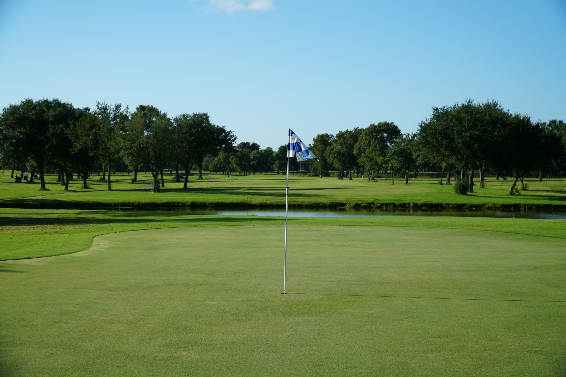 A view of a golf green with a flag in the middle.