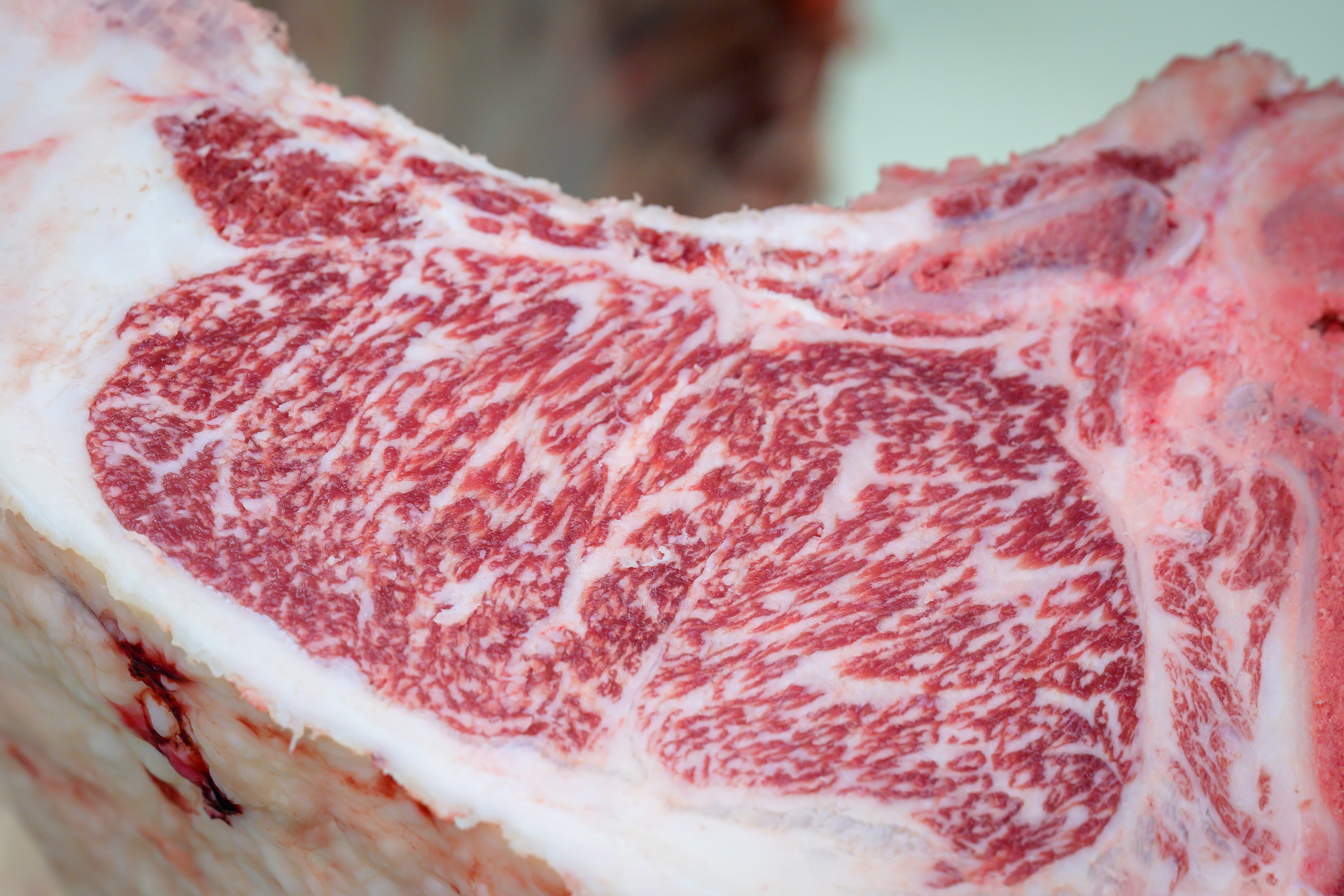 Wagyu beef