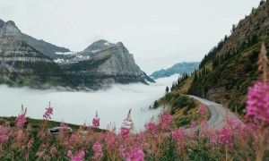 Glacier National Park morning mist over road