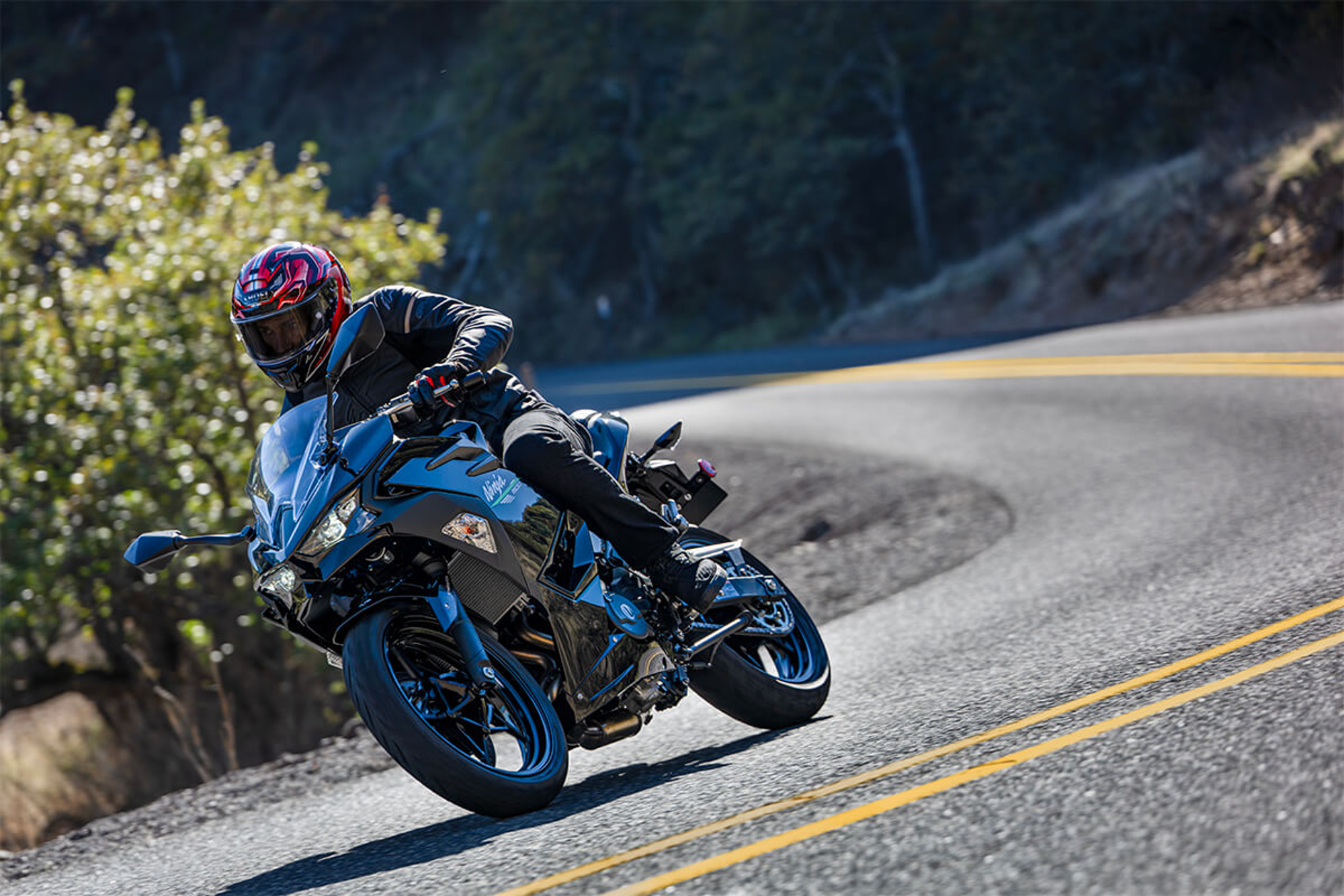 Rider on a blue 2024 Kawasaki 500 on a curve on a road through mountains