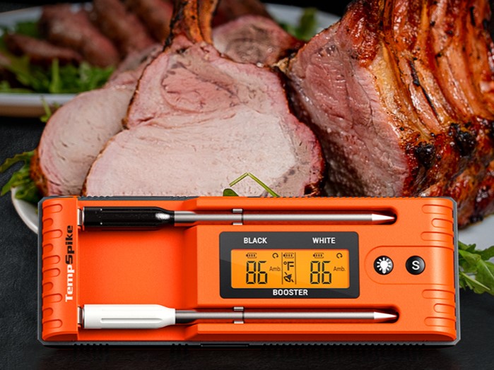 ThermoPro Twin TempSpike truly wireless meat thermometer in hand