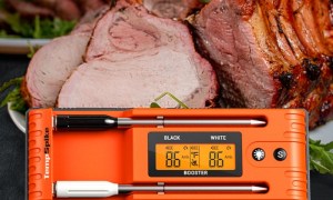 ThermoPro Twin TempSpike truly wireless meat thermometer in hand