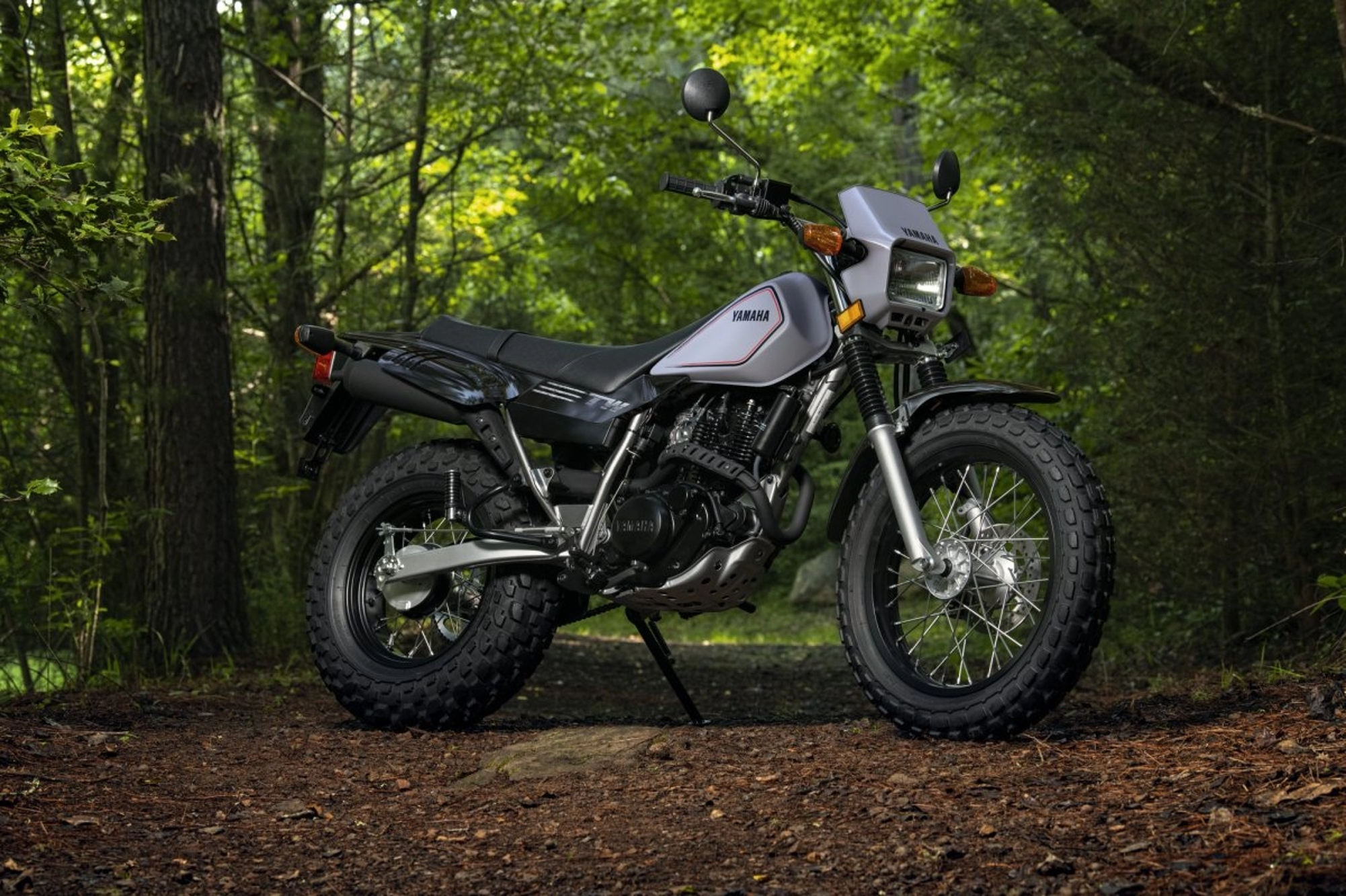 Yamaha TW200 parked right three=quarter view in the woods.