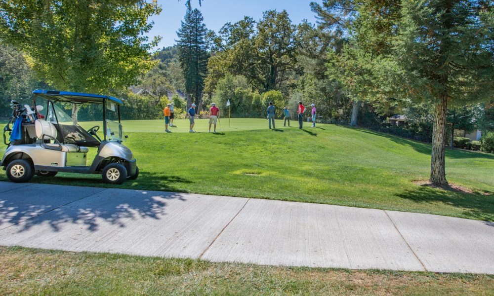 Golfers playing on a course with a golf cart to the side.