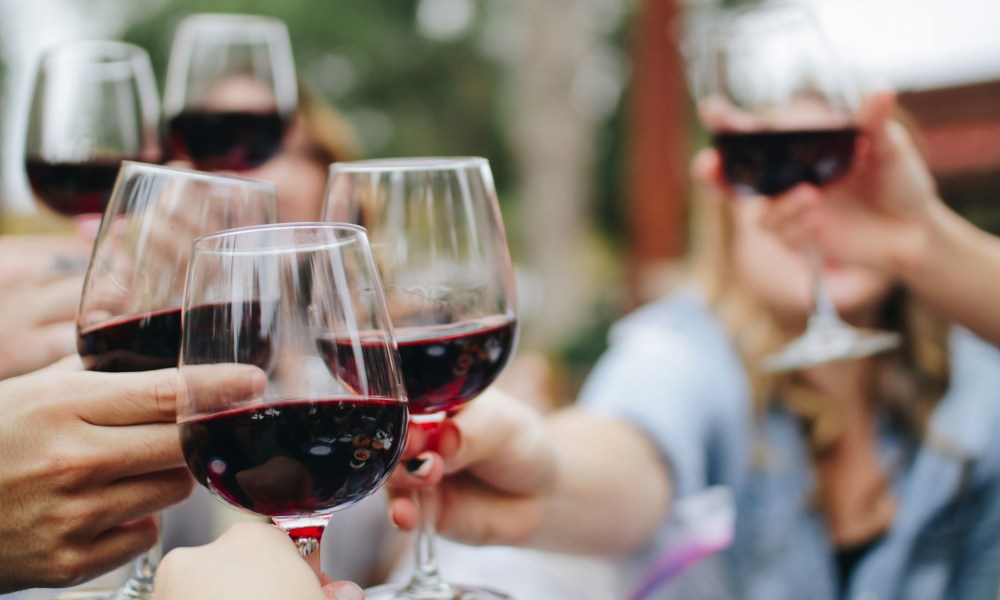 Group toasting with wine glasses