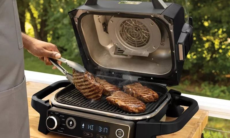 Ninja Woodfire grill and smoker deal at Target