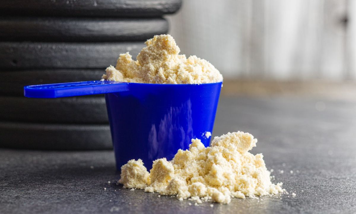 Whey protein powder in a scoop