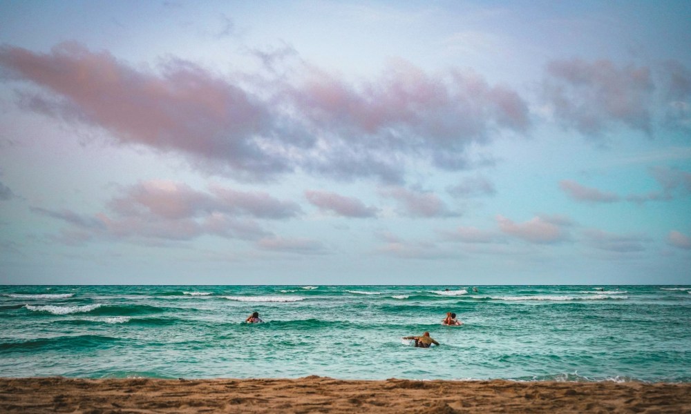 Surfers in Oahu Hawaii