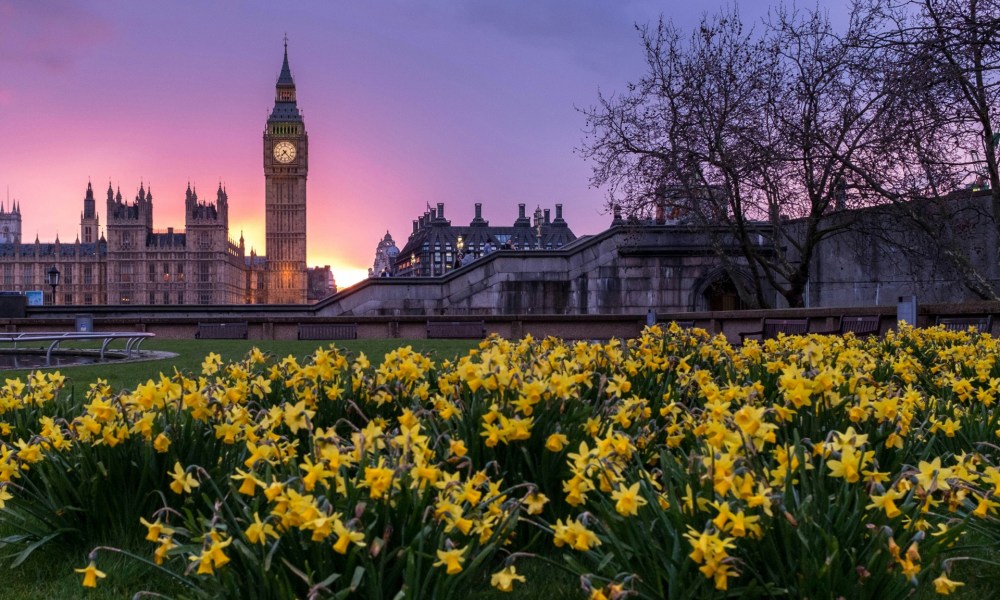 London flowers and buildings