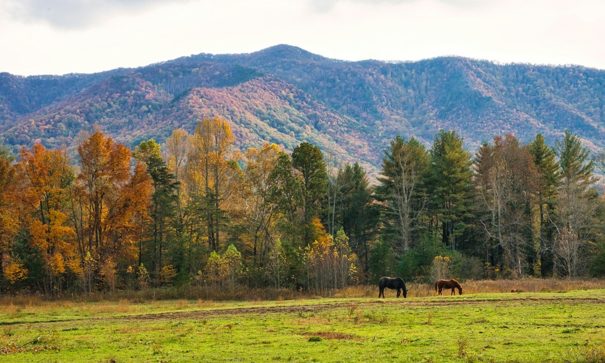 Great Smoky Mountains in October