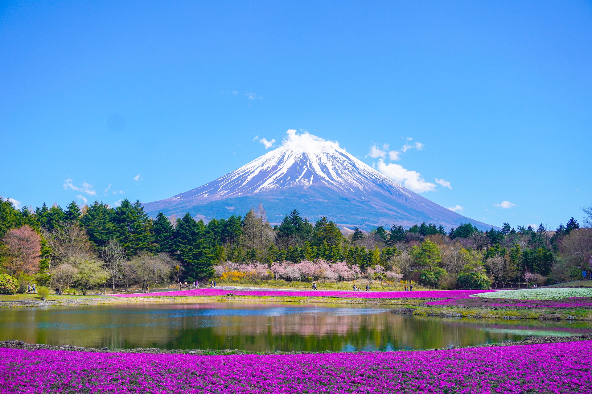 Mount Fuji