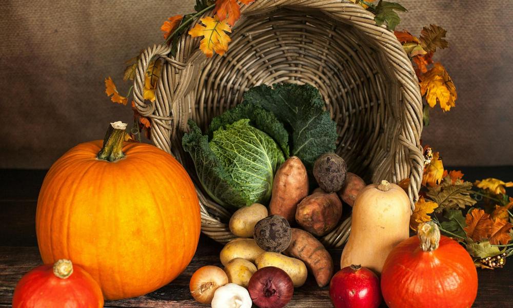 Harvest basket full of fall vegetables