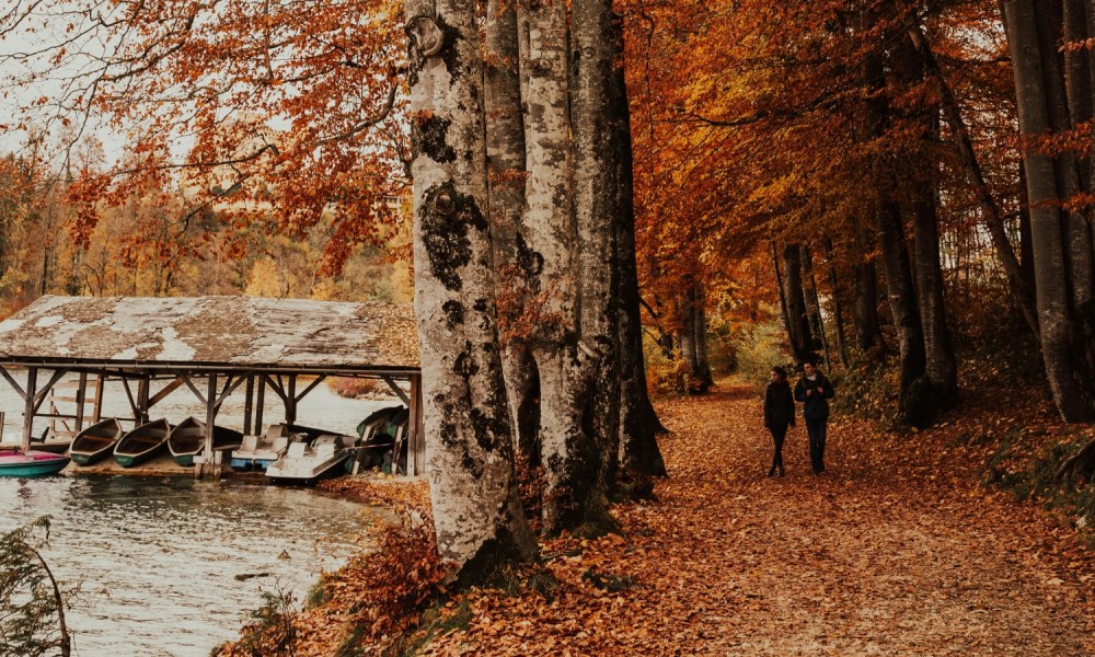 Couple walking in fall