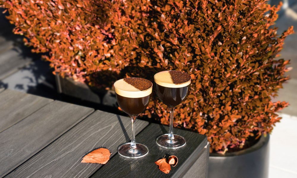 pumpkin spice espresso martini recipe dsc03998 v2 1