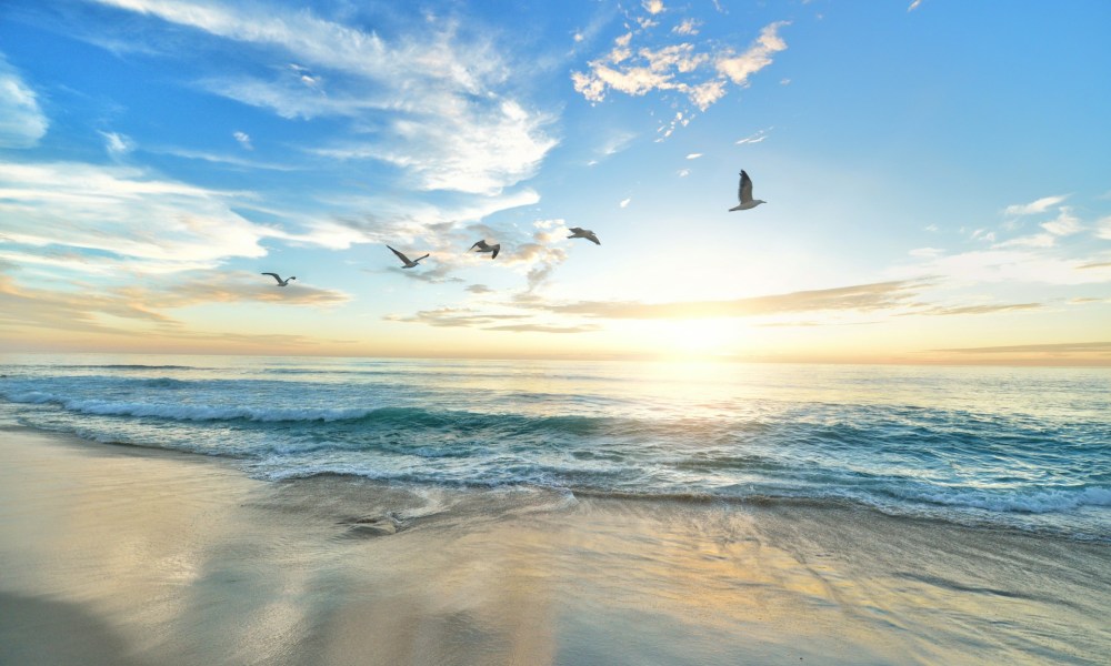 Beach in San Diego