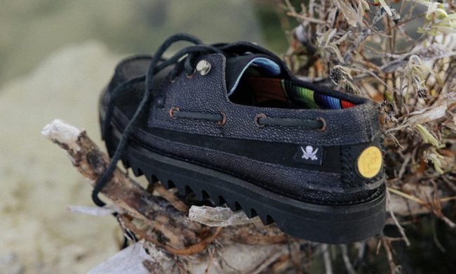 black sperry boat shoe in tree branch