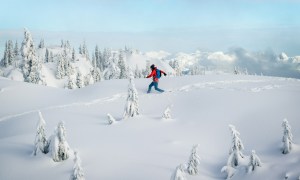 Person snowshoeing