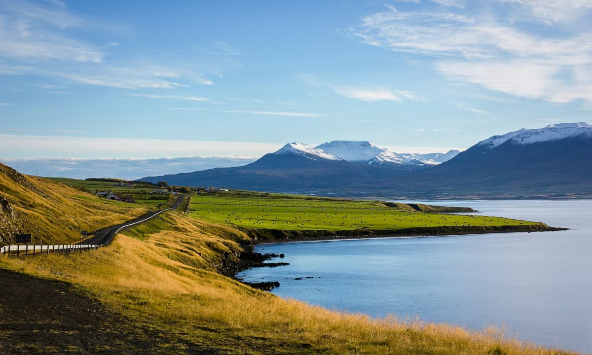 Field and mountain in Iceland