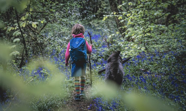 Kid hiking through the woods with a black dog