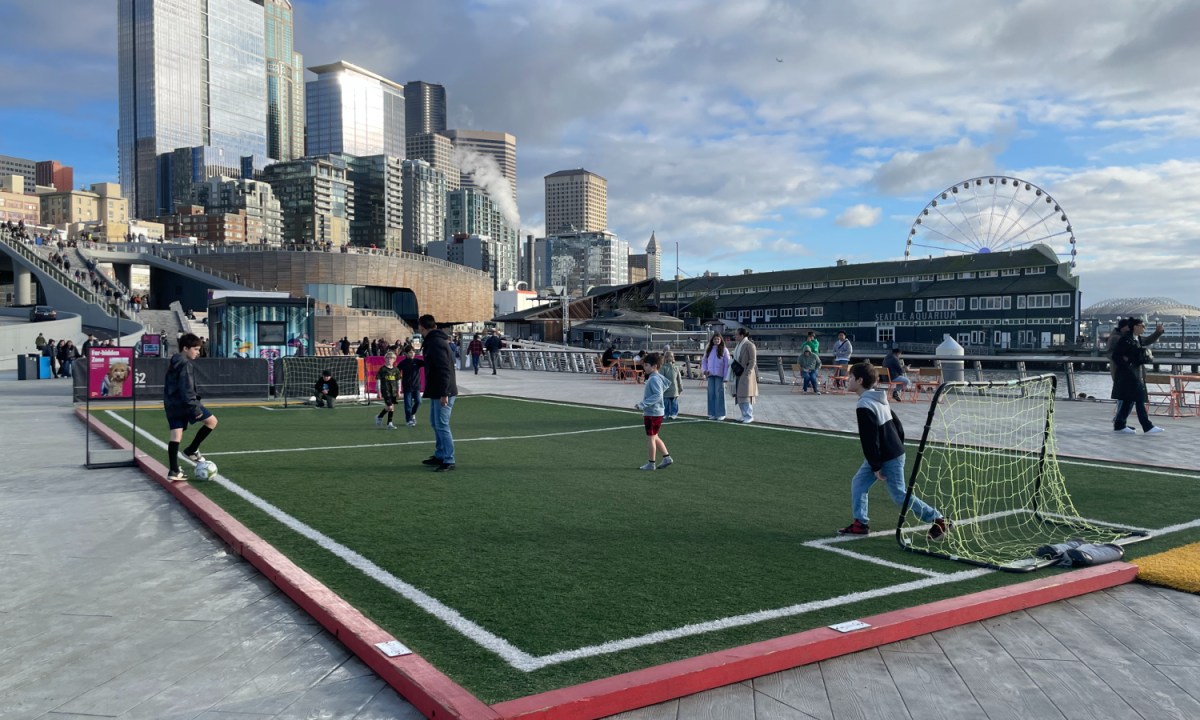 seattle waterfront revitalization futsal