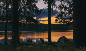 A group of people cooking around a campfire at dusk